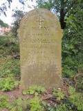 image of grave number 726129